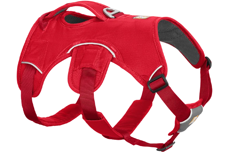 Used - Web Master™ Dog Harness with Handle